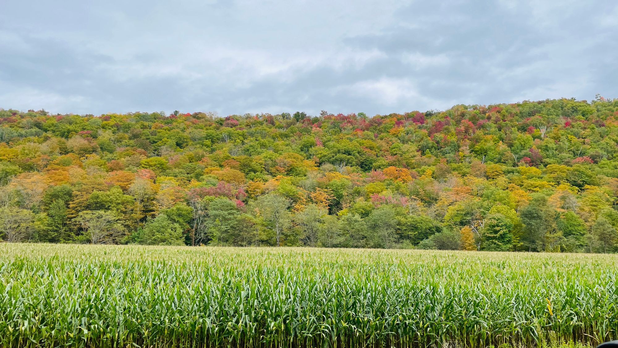 Northern Vermont