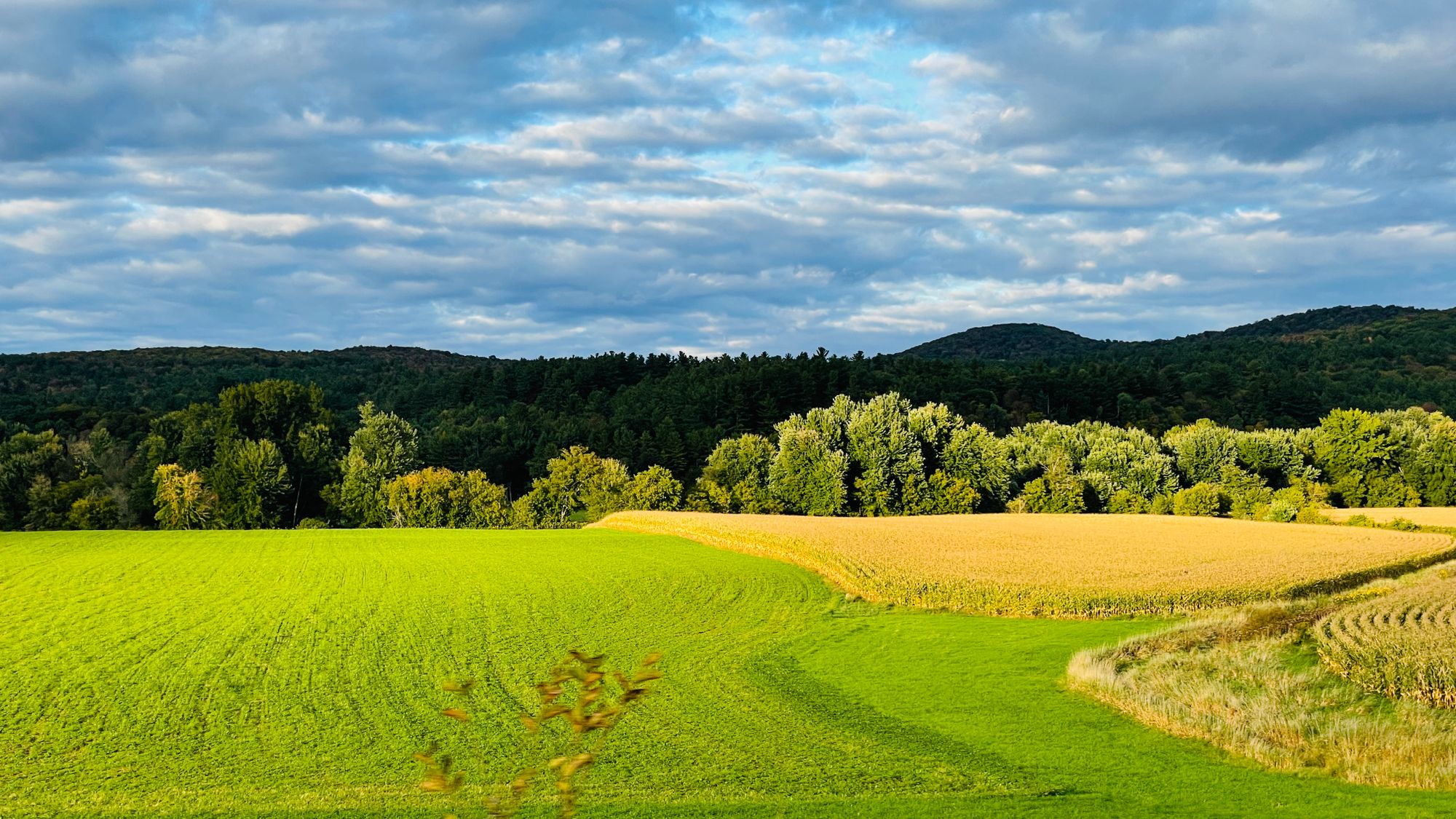 Northern Vermont