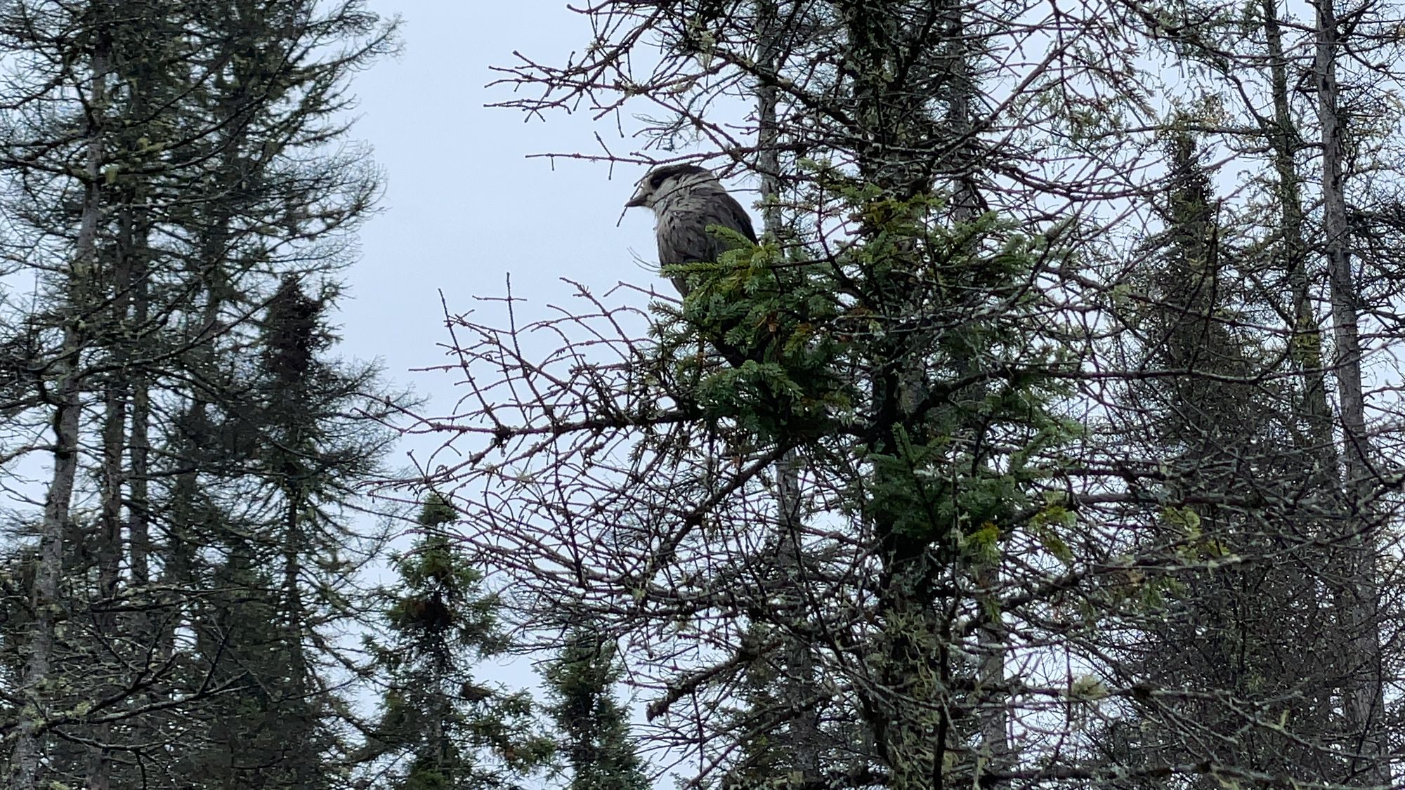 Northern Vermont