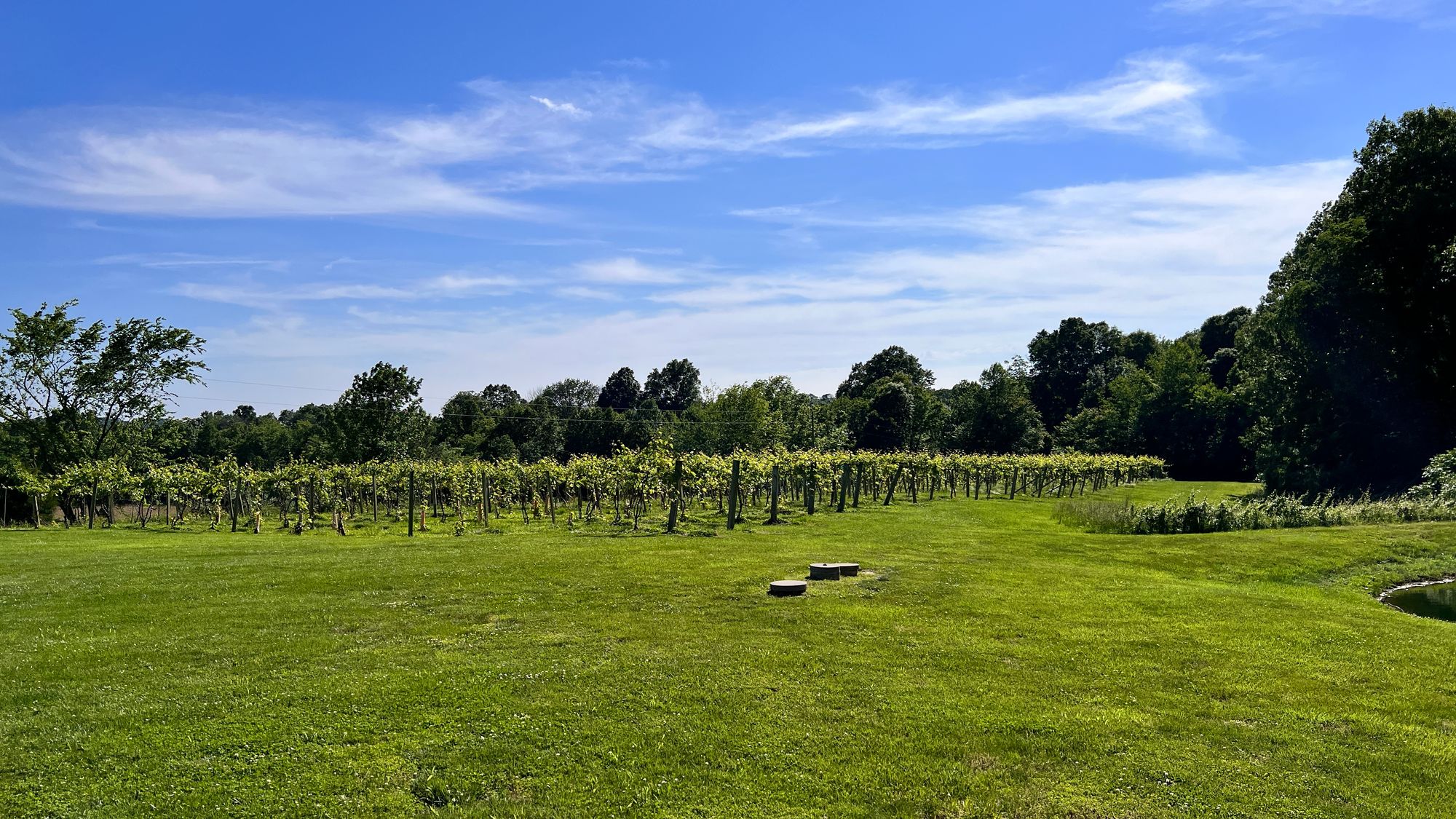 Boondocking To South Dakota - Vineyard Style