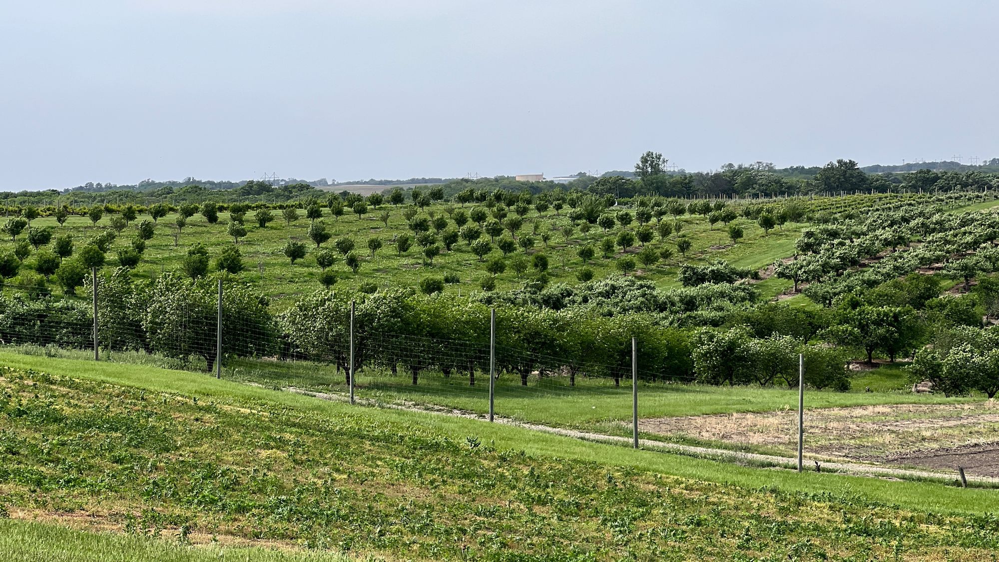 Boondocking To South Dakota - Vineyard Style